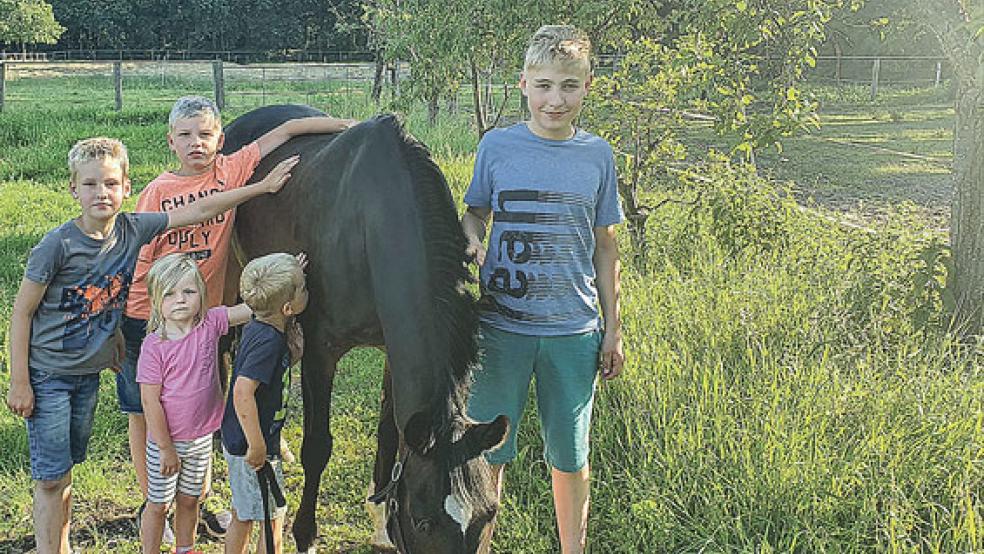 »Mister Mezzo« ist weiter auf dem Weg der Besserung. Dabei helfen auch die vielen Streicheleinheiten.  © Foto: privat