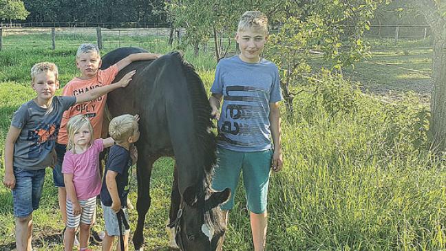 Viele Streicheleinheiten für die Seele