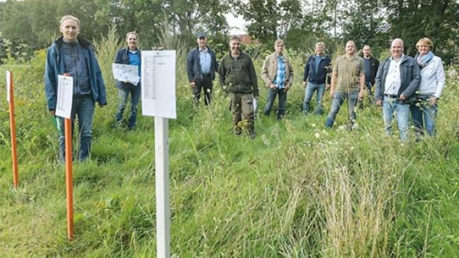 Durchwachsene Bilanz auf Blühstreifen