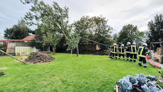 Baum drohte auf Gartenhütte zu stürzen