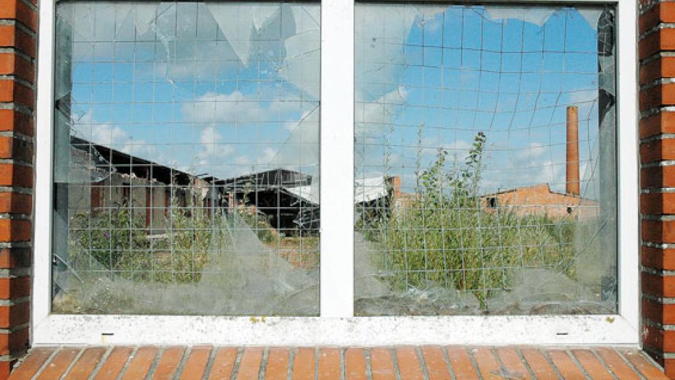 Das Gelände der ehemaligen Ziegelei Reins am Fährpatt in Jemgum liegt seit Ende 2008 brach. © Foto: Szyska