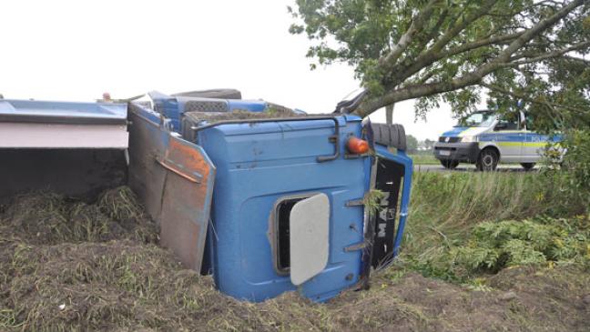 Laster fällt Baum und kippt um