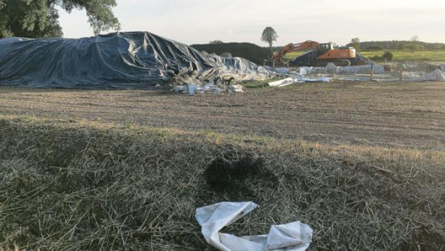 Wenn Kleiboden versauert