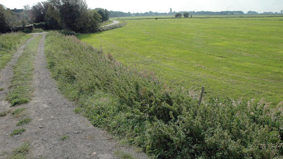 Der auserkorene Krippen-Standort liegt am Amelborgster Weg, der vom Toten Weg abzweigt (im Hintergrund). © Foto: Szyska