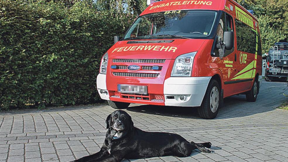 Hund »Keks« hat mit lautem Bellen in einer Nacht Mitte September seine Familie aus dem Schlaf gerissen und somit Schlimmeres verhindert.  © Foto: Kreisfeuerwehr Aurich