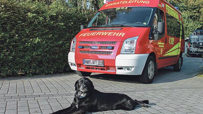 Ein Lebensretter auf vier Pfoten