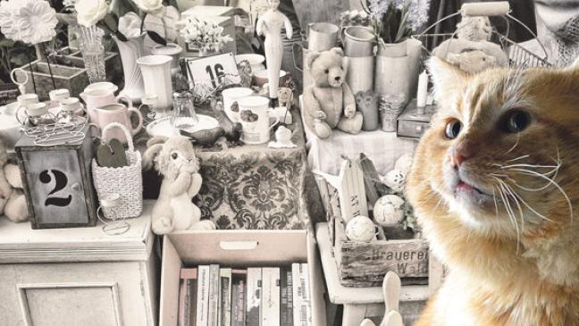 Alles muss raus: Flohmarkt in der Bücherscheune