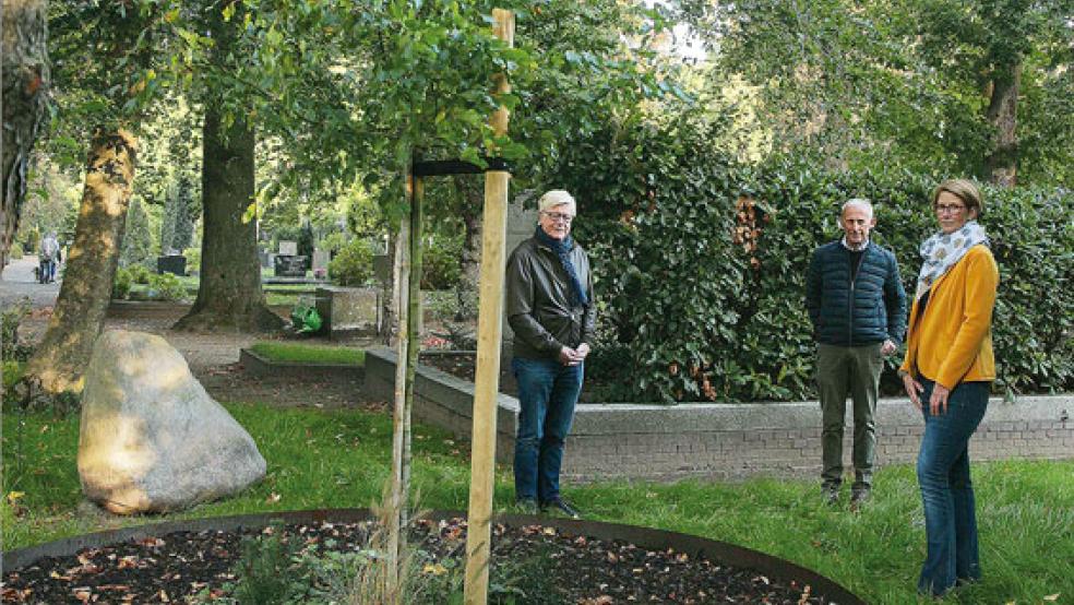 Das neue Feld für die »Unterbaumbestattung« auf dem lutherischen Friedhof in Leer stellten Fritz-Rudolf Brahms (von links), Uwe Gerdes und Virginia Becker vor. © Foto: Dübbel