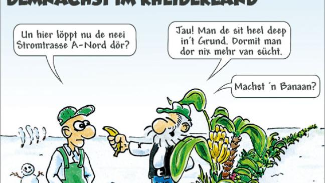 Wenn im Rheiderland die Bananen sprießen...