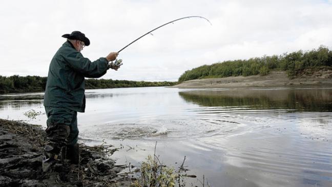 »Die Fische verenden elend daran«