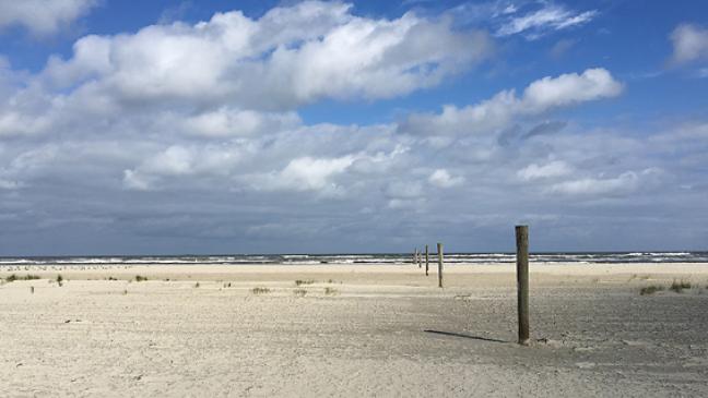 In der Nacht die Orientierung verloren