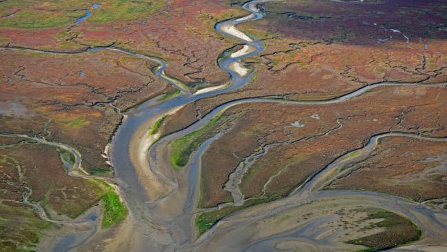 Mit Vogelperspektive über das Wattenmeer