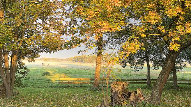 Ein »Goldener Oktober«-Morgen im Rheiderland