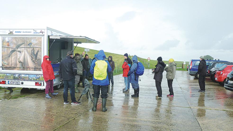 Im Einsatz: Der »NABU-Guckkasten« bot beim Zugvögel-Picknick viele Informationen. © Foto: Agnes Ratering