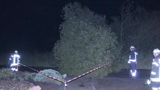 Feuerwehr räumt Bäume von der Straße