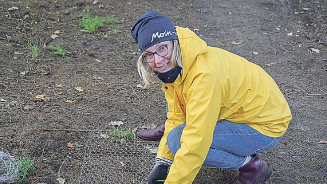 Aufforstung ging in die zweite Runde