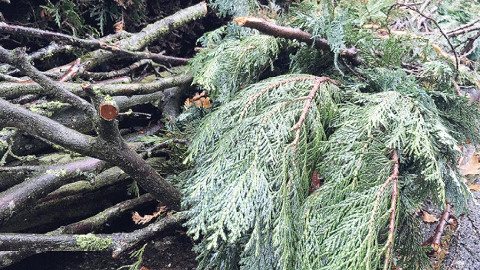 Im Rheiderland sind insgesamt rund 297 Tonnen Strauchabfälle eingesammelt worden. © Foto: Boelmann