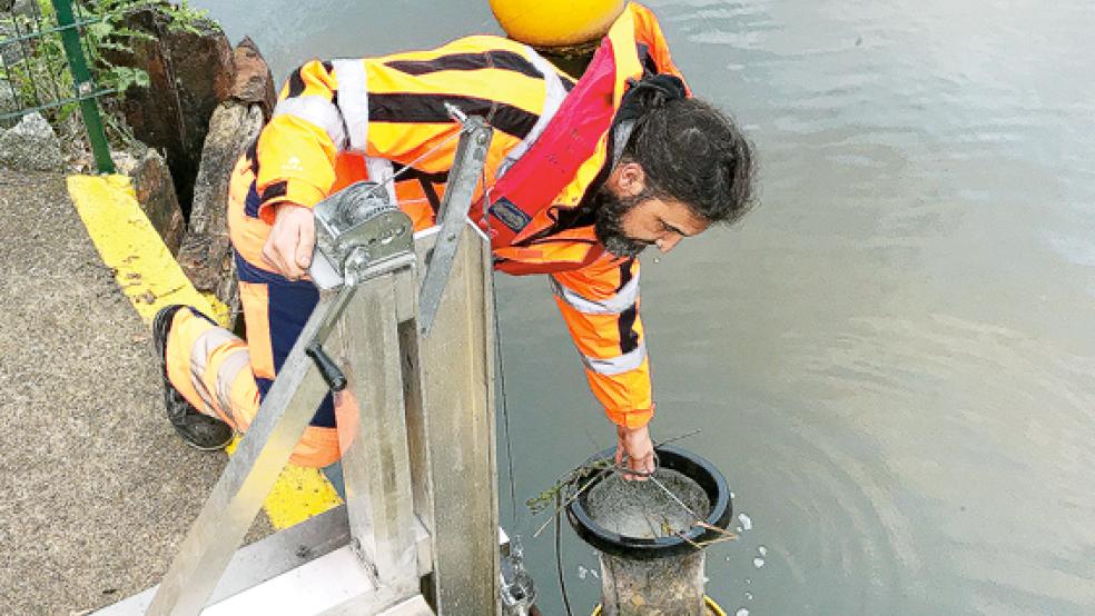 Schleusenbootsmann Jörg Fuhlendorf bei seiner täglichen Kontrolle des Hafenstaubsaugers. Die »Seabins« können auch Kleinteile und sogar Öl aus dem Wasser filtern. © Foto: Voitel