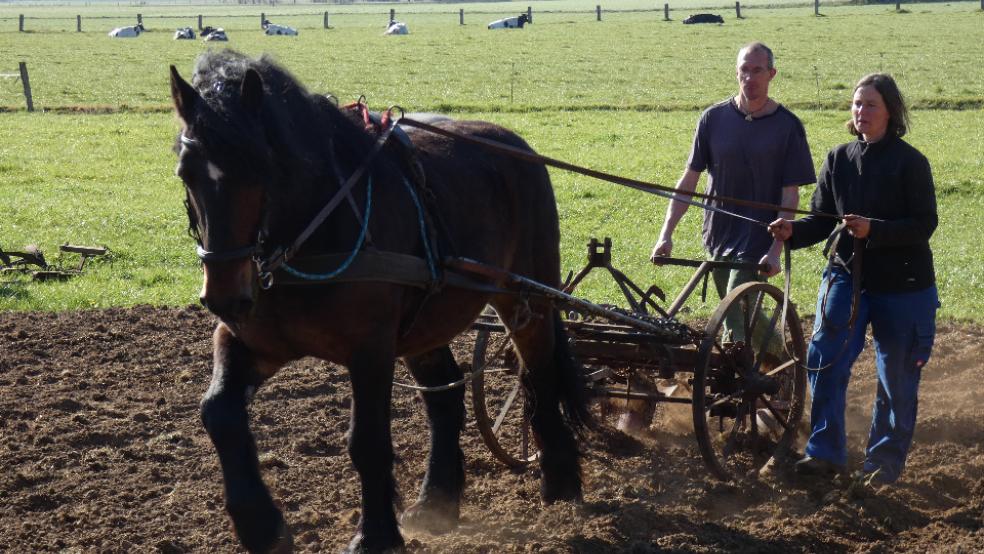 Kristian Lampen und Katharina Heimrath setzen auf ihrem Biohof in Rhede auf das Prinzip der solidarischen Landwirtschaft.  © Fotos: privat 