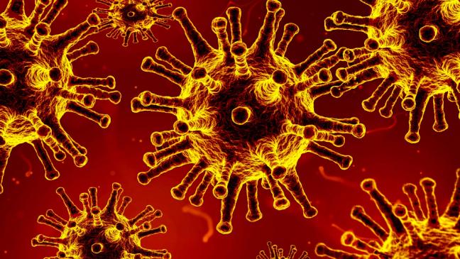 Corona: Zwei  weitere Todesfälle