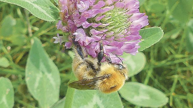 »Das ist ein guter Tag für den Naturschutz«