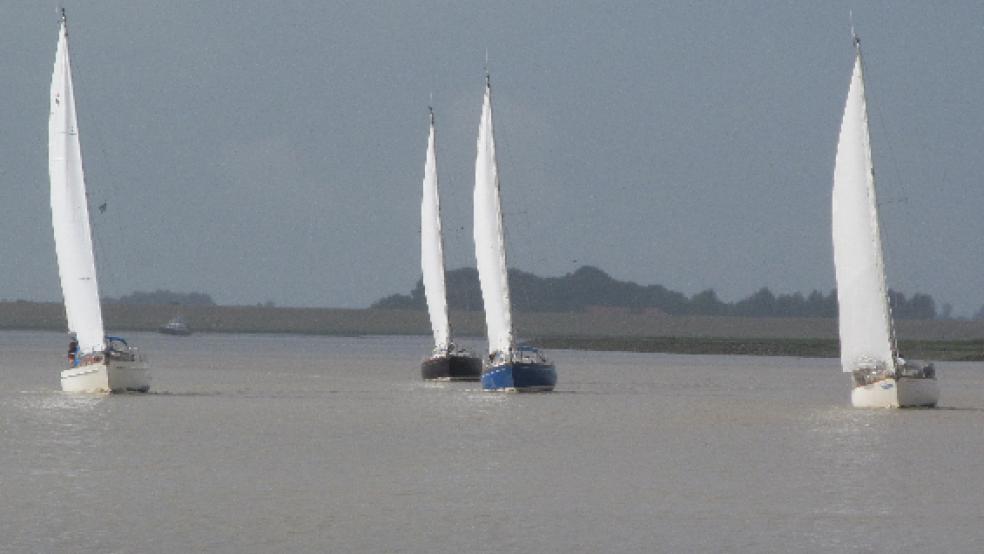 Boote des Segelvereins Weener beim Absegeln auf der Ems in der Höhe von Jemgum. © Foto: privat
