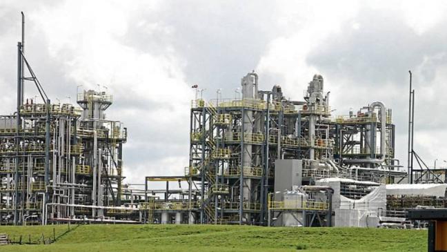 Den Gestank per App ans Amt melden