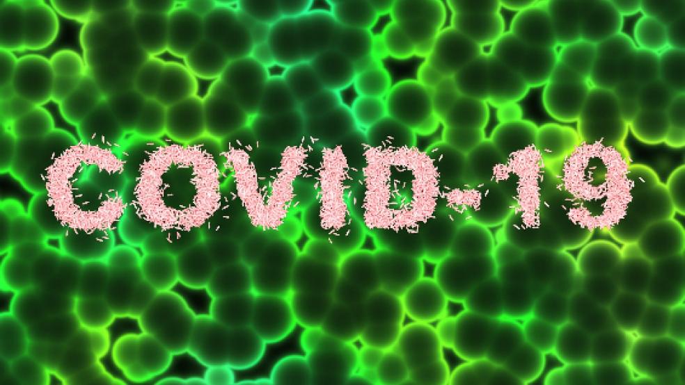 Im Landkreis Leer liegt der Inzidenzwert bei 49,2.  © pixabay