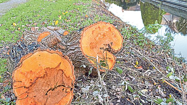 Von Ostfrieslands Weite nicht mehr viel übrig