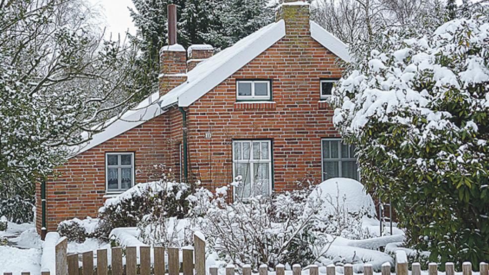 Der Leeraner Kreislandfrauenverband hat einen digitalen Adventskalender auf die Beine gestellt. Bis Heiligabend warten viele Überraschungen auf die Internetbesucher. © Foto: Landfrauen