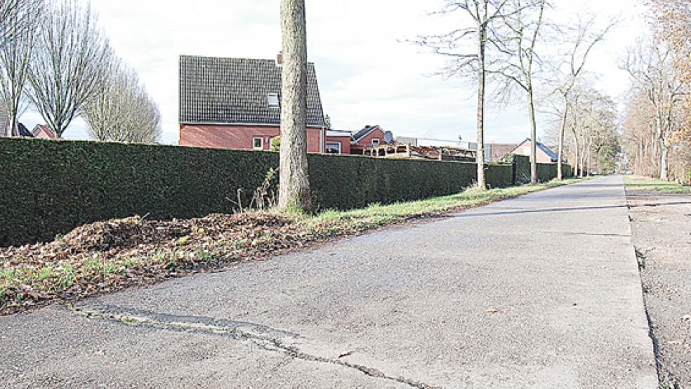 Risse im Beton: Der Sandweg, der von Möhlenwarf in Richtung Weenermoor führt, ist in einem sehr schlechten Zustand, er steht bei der Stadtverwaltung auf Platz 2 der Prioritätenliste für eine Straßensanierung. © Foto: Hoegen