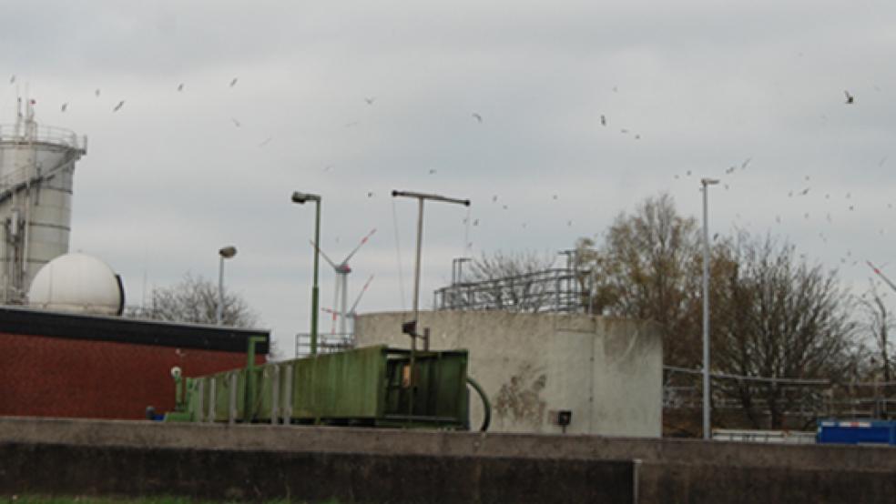 Die Kläranlage am Emsdeich in Weener wurde 1963 bis 1964 gebaut, bis Ende 2022 soll sie technisch modernisiert werden. Das wird über die Gebühren finanziert. © Foto: Hoegen
