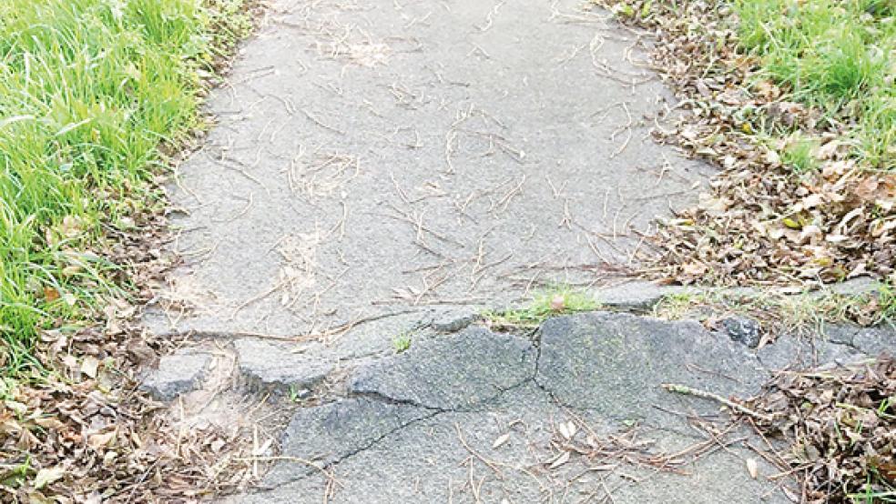 Der Radweg entlang der alten Kreisstraße 27 zwischen Diele und Vellage muss dringend saniert werden. © Foto: privat