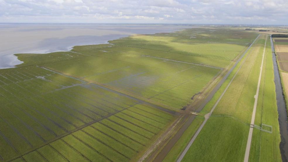 Auf dem Emsdeich bei Delfzijl plant der RWE-Konzern den Bau von drei bis vier Windkraftanlagen. © Foto: Groninger Landschaft