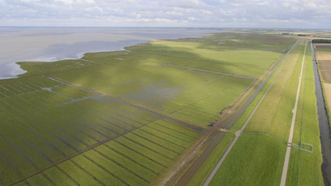 Plan für Windmühlen auf dem Deich