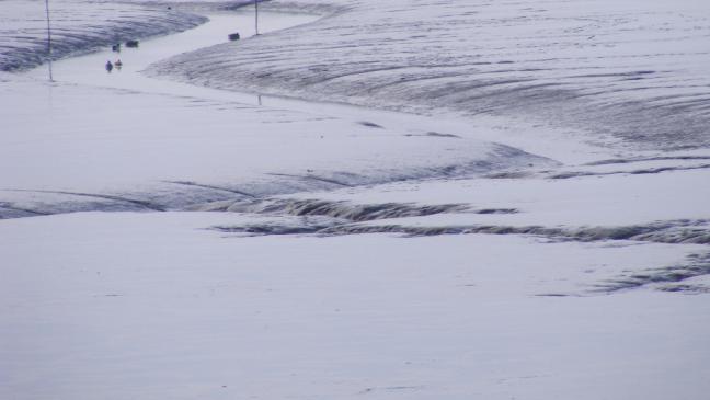 Strand-Drama: Gefangen in der Schlickfalle