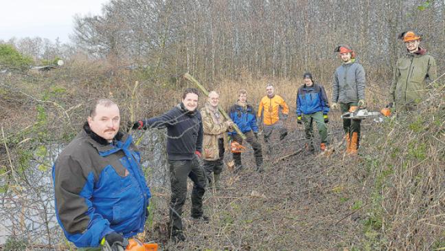 Mehr Lebensraum für die Amphibien