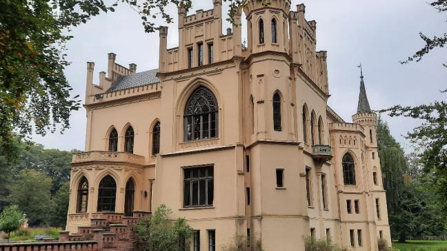 Baum-Patenschaft online übernehmen