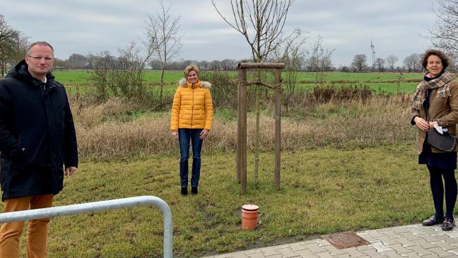 Bewerbungen  bald möglich