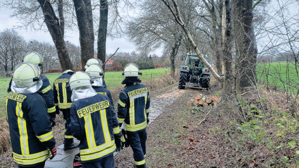 Mehrere Sturmeinsätze in der Gemeinde Großefehn mussten abgearbeitet werden.  © Foto: Feuerwehr 