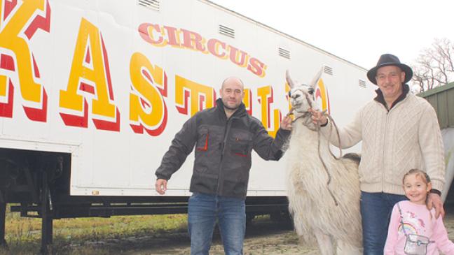 Die Manege braucht ein Wunder