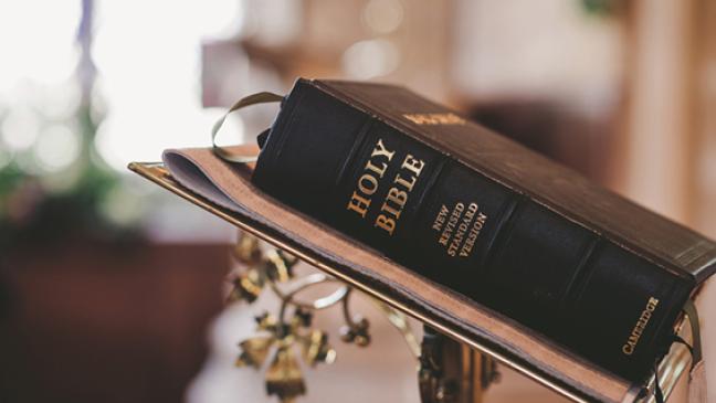 Kaplan: Ich bin nicht geflohen