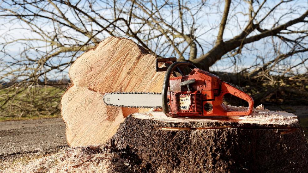 Ab kommender Woche soll in Weener die Motorsäge kreisen. © Symbolfoto: Pixabay