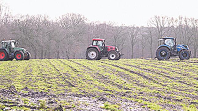 Bauern in Ostfriesland gehen leer aus