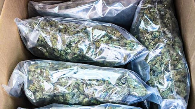 Sechs Kilo Drogen im Kofferraum