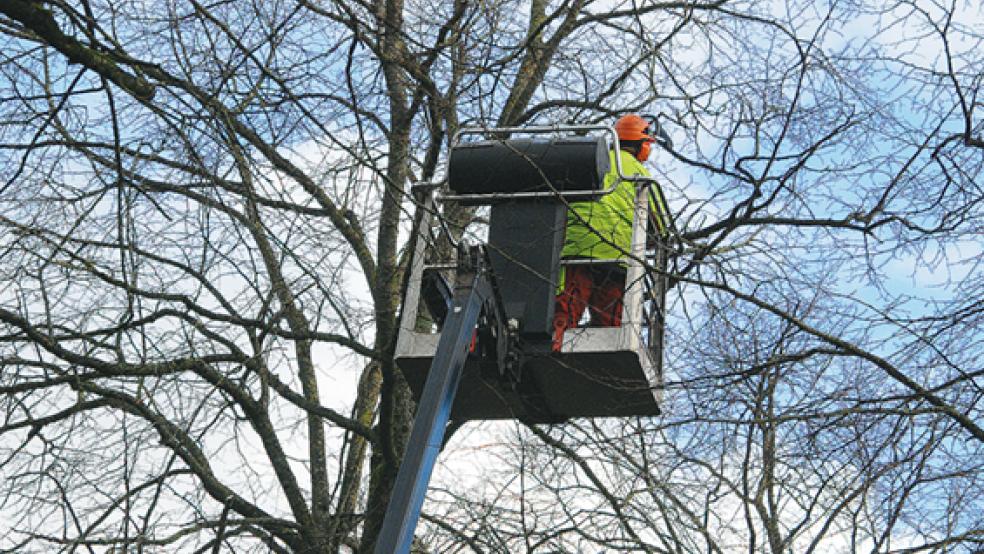 Luftige Höhe: Bauamtsmitarbeiter Ingo Dirks im Korb des Hubsteigers. © Foto: Hoegen