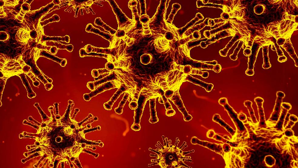 Über 80 Prozent der Befragten in den Alten- und Pflegeheimen im Kreis Leer wollen sich gegen das Corona-Virus impfen lassen. © Symbolfoto: Pixabay