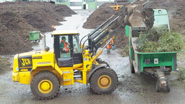 184 Tonnen Tannengrün