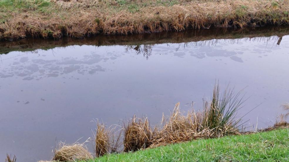 Über den Graben gelangte der Dieselkraftstoff vom Gewerbegebiet bis in das Langholter Meer. © Foto: Polizei