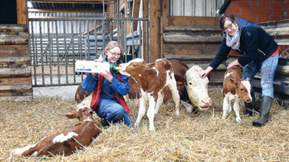 Die gerade mal 48 Stunden alten Drillinge Jan, Karla und Olaf mit »Mutter« Rieke erfahren viel Aufmerksamkeit und Zuneigung von Insa Kettler (rechts) und Nachbarstochter Jina. © Foto: Kuper
